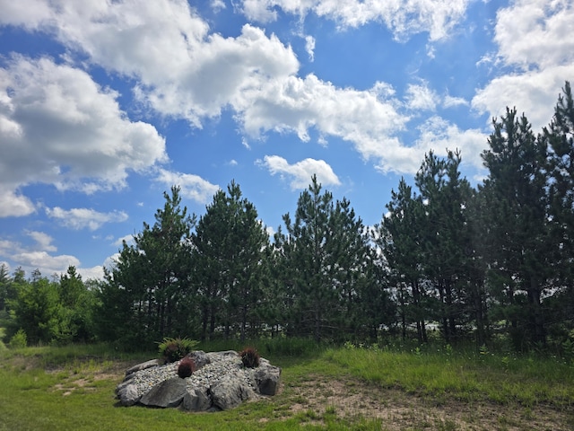 OFF Mccollum Lake Rd, Curran, MI 48728 - photo 23