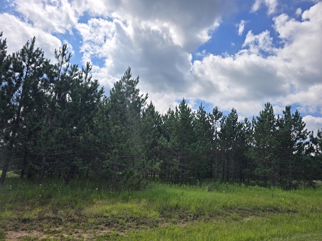 OFF Mccollum Lake Rd, Curran, MI 48728 - photo 15