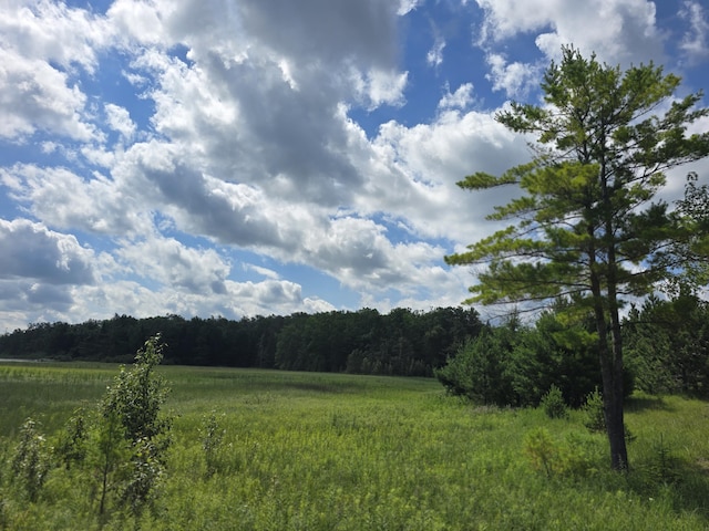 OFF Mccollum Lake Rd, Curran, MI 48728 - photo 16