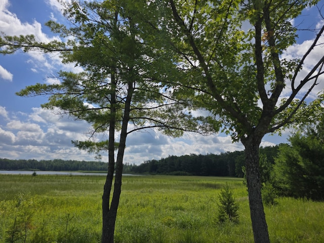 OFF Mccollum Lake Rd, Curran, MI 48728 - photo 17