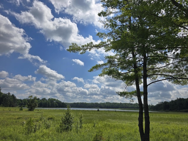 OFF Mccollum Lake Rd, Curran, MI 48728 - photo 18