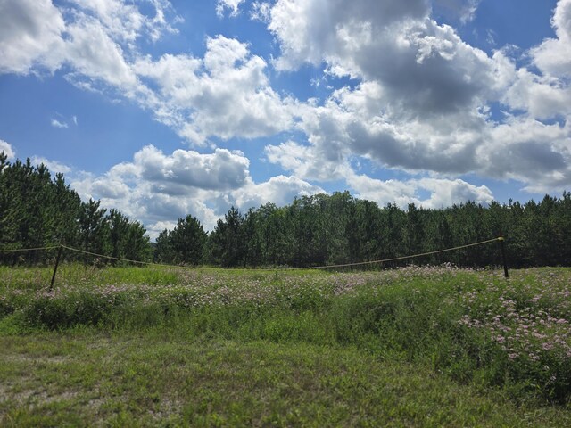 OFF Mccollum Lake Rd, Curran, MI 48728 - photo 19