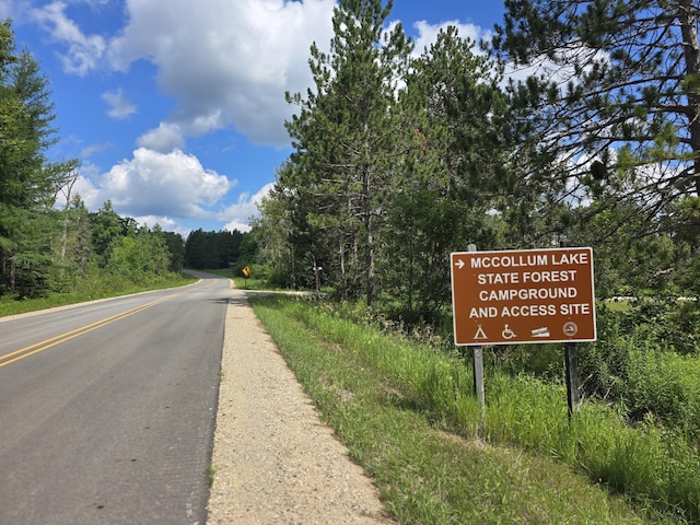 OFF Mccollum Lake Rd, Curran, MI 48728 - photo 24