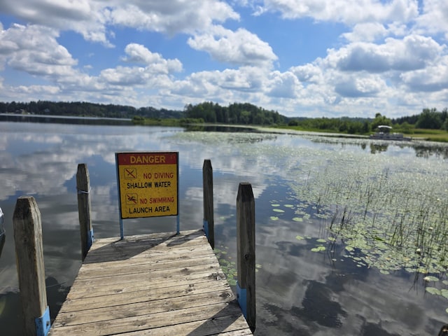 OFF Mccollum Lake Rd, Curran, MI 48728 - photo 25