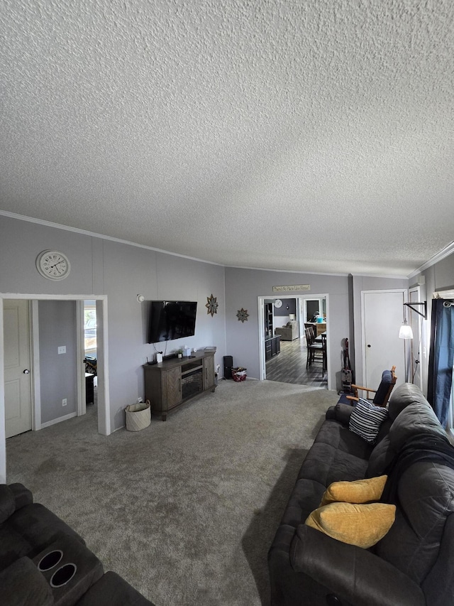 carpeted living area with crown molding and a textured ceiling