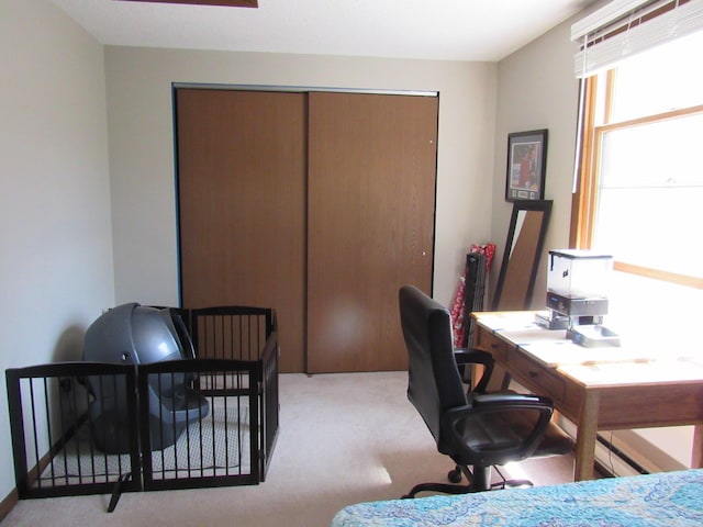interior space featuring light carpet and a closet