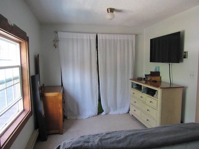 bedroom with light colored carpet