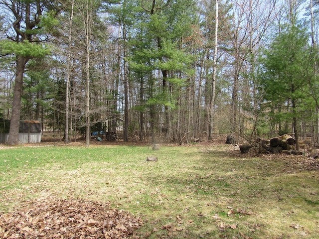 view of yard with a storage shed and an outbuilding