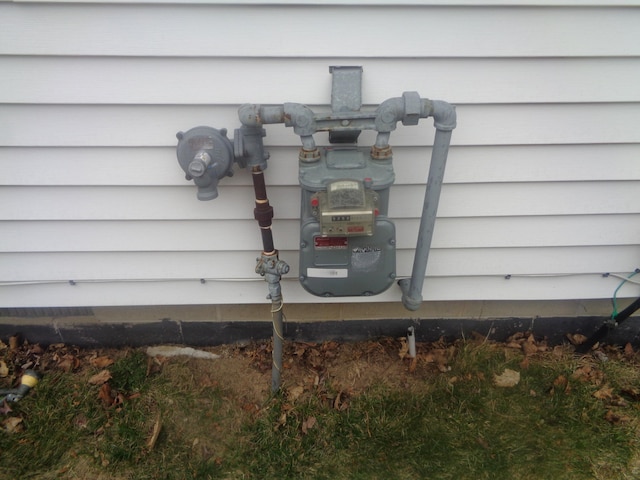 exterior details with gas meter