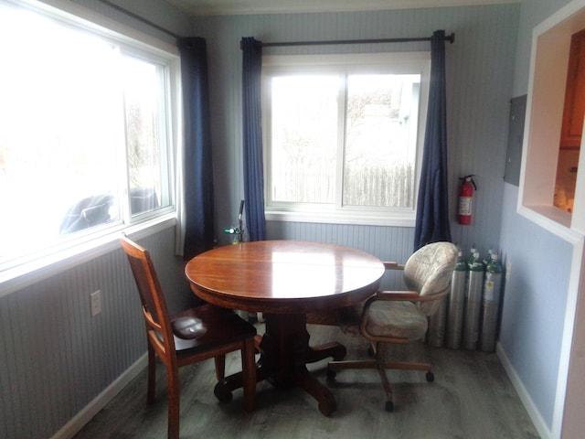dining space with baseboards, radiator, and wood finished floors