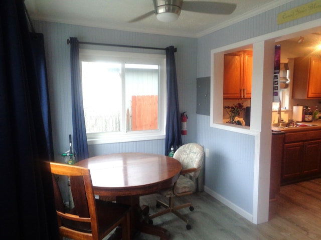 dining area featuring crown molding, ceiling fan, light wood-style flooring, and baseboards