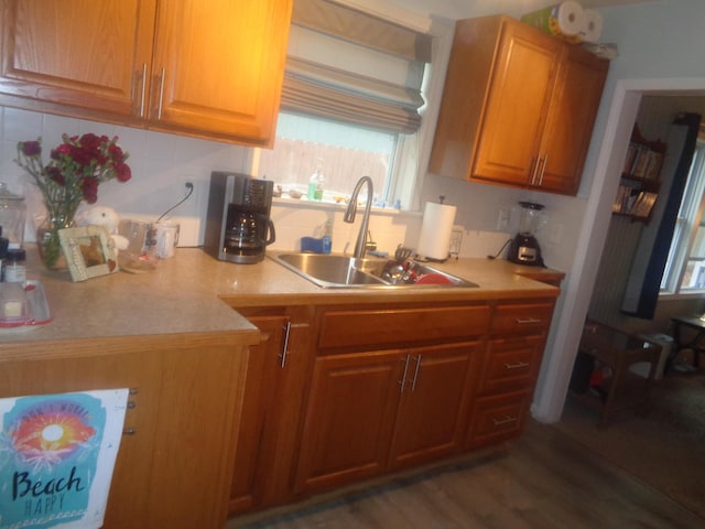 kitchen with a healthy amount of sunlight, light countertops, decorative backsplash, and a sink