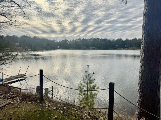 water view featuring a view of trees