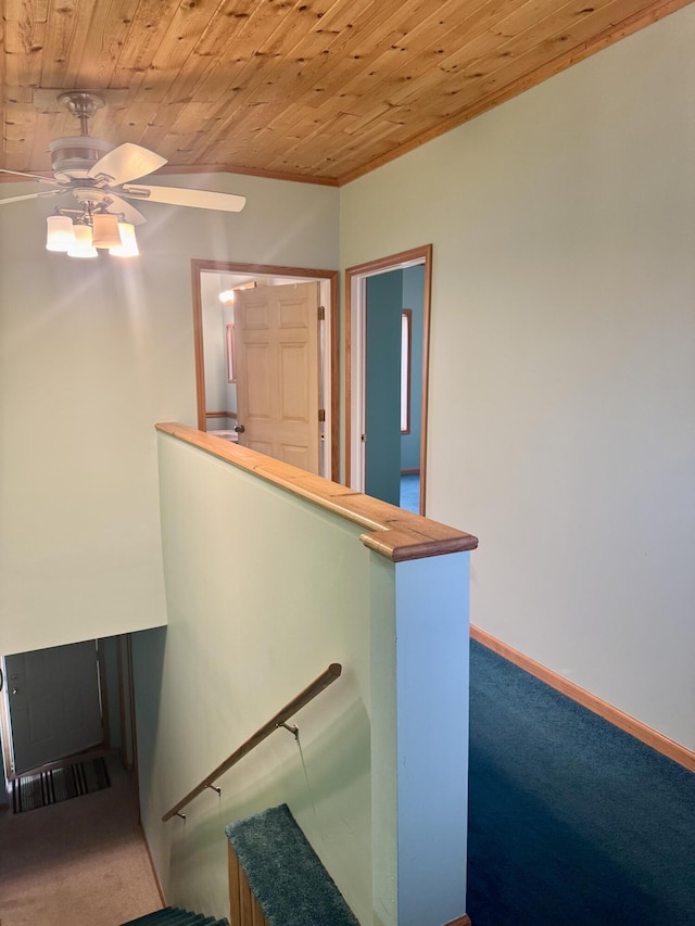 stairway featuring wooden ceiling, a ceiling fan, and carpet flooring
