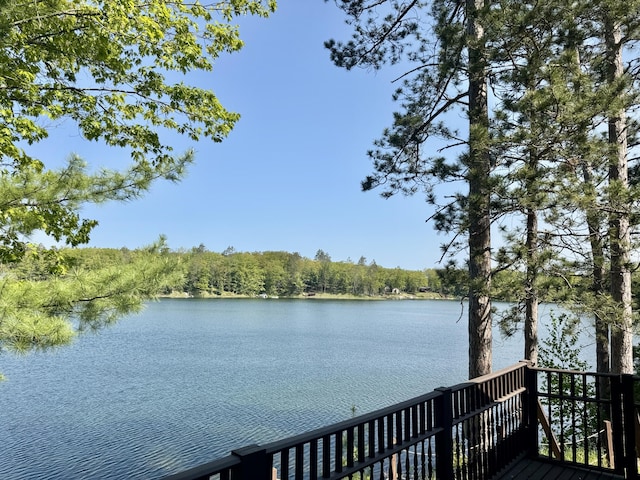8506 Deer St, Curran, MI 48728 - photo 6