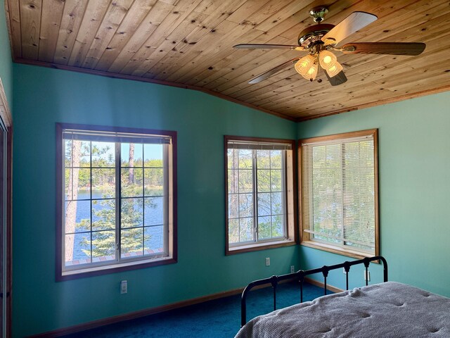 8506 Deer St, Curran, MI 48728 - photo 34