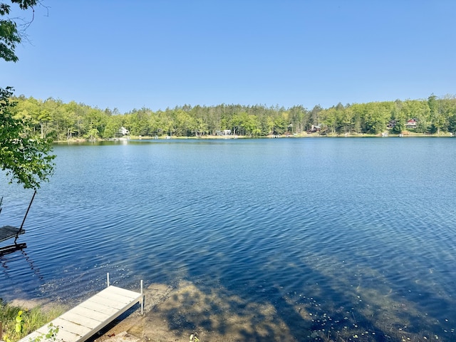 8506 Deer St, Curran, MI 48728 - photo 10