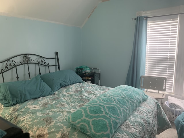 bedroom with lofted ceiling
