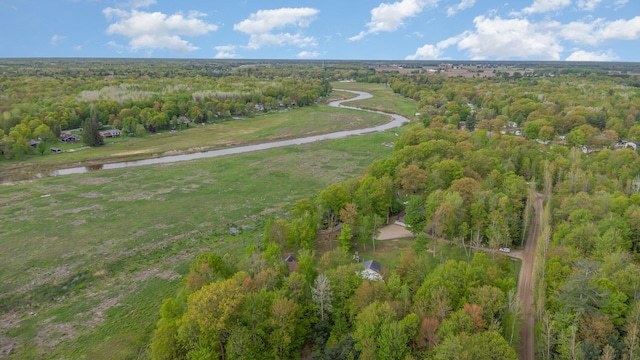 3525 E Pointe Dr, Beaverton, MI 48612 - aerial overview of property's location with a heavily wooded area and a large body of water