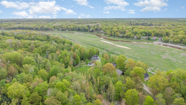 3525 E Pointe Dr, Beaverton, MI 48612 - aerial view of property and surrounding area with a heavily wooded area