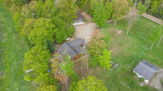 3525 E Pointe Dr, Beaverton, MI 48612 - view from above of property