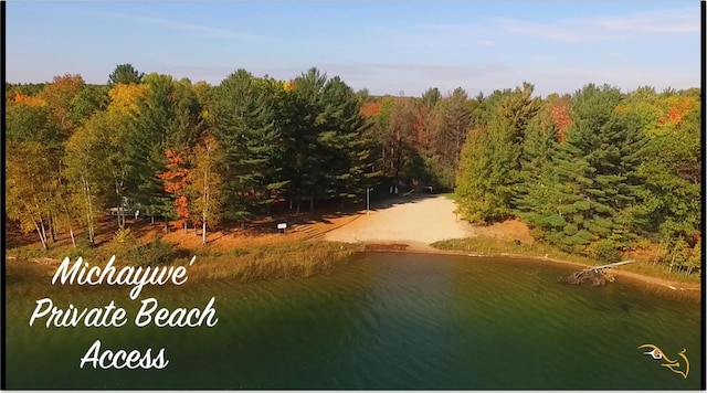 1406 Opal Lake Rd, Gaylord, MI 49735 - water view with a forest
