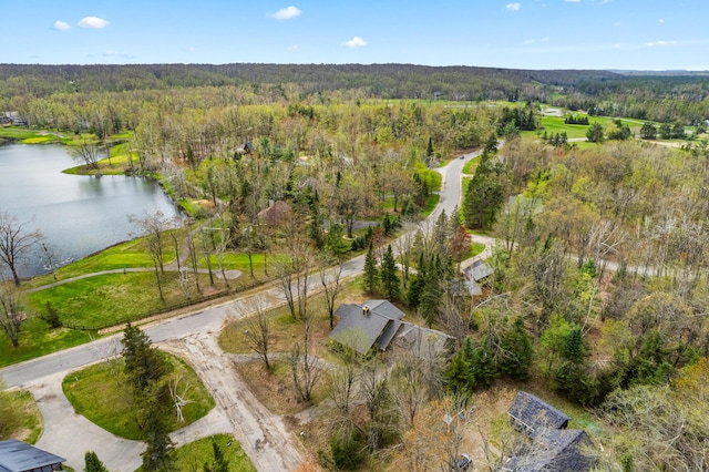 1406 Opal Lake Rd, Gaylord, MI 49735 - bird's eye view of a forest and a large body of water