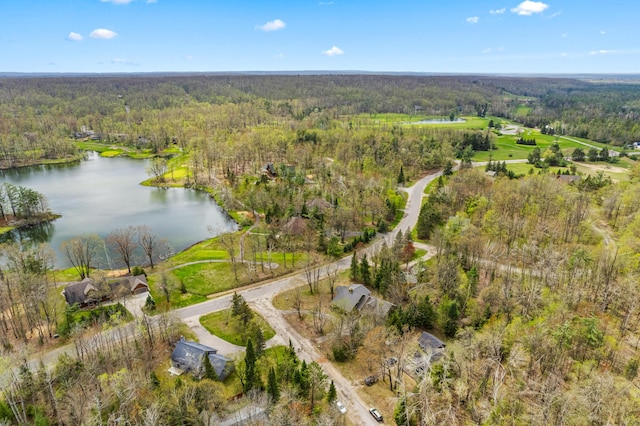1406 Opal Lake Rd, Gaylord, MI 49735 - aerial overview of property's location with a heavily wooded area and a large body of water