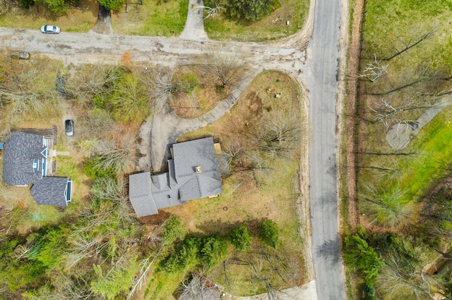1406 Opal Lake Rd, Gaylord, MI 49735 - aerial view