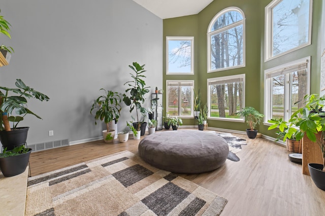 1406 Opal Lake Rd, Gaylord, MI 49735 - sitting room featuring high vaulted ceiling, wood finished floors, and baseboards