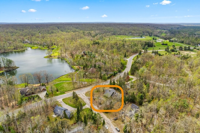 1406 Opal Lake Rd, Gaylord, MI 49735 - aerial view of property's location featuring a heavily wooded area and a large body of water