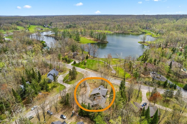 1406 Opal Lake Rd, Gaylord, MI 49735 - aerial overview of property's location featuring a forest and a large body of water