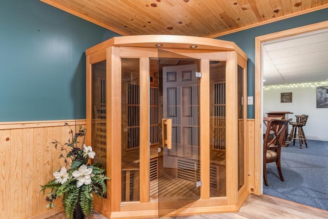 6075 W Edgar St, Pellston, MI 49769 - sauna with wainscoting and wooden walls