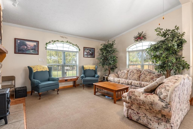 6075 W Edgar St, Pellston, MI 49769 - living room featuring a wood stove, ornamental molding, and baseboards