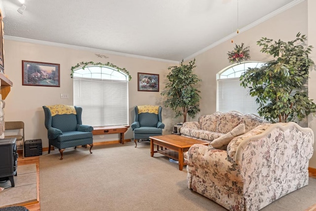 6075 W Edgar St, Pellston, MI 49769 - living area with a wood stove, ornamental molding, and baseboards