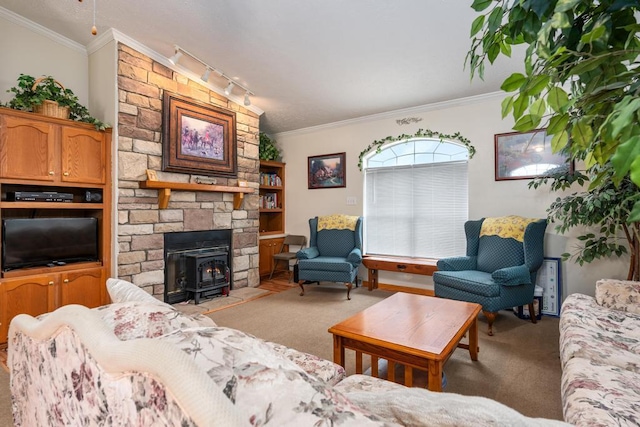 6075 W Edgar St, Pellston, MI 49769 - living area with a wood stove, carpet floors, crown molding, and track lighting