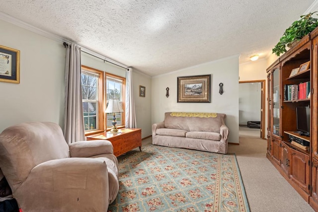 6075 W Edgar St, Pellston, MI 49769 - living area with a textured ceiling, light colored carpet, lofted ceiling, and ornamental molding