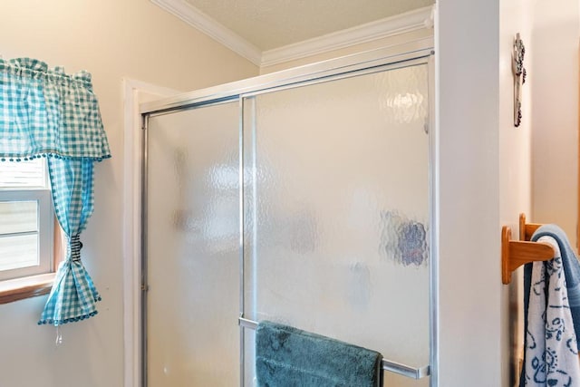 6075 W Edgar St, Pellston, MI 49769 - bathroom featuring ornamental molding and a shower stall