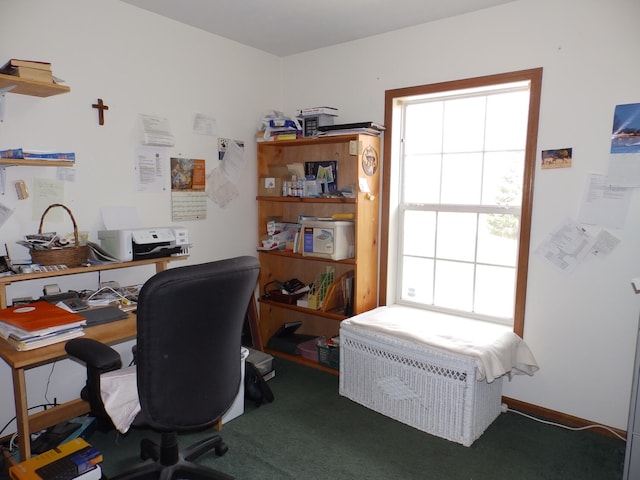 carpeted office space featuring a healthy amount of sunlight