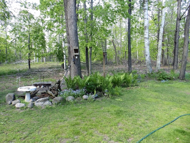 7153 Sugar Hill Cir, Gaylord, MI 49735 - view of grassy yard