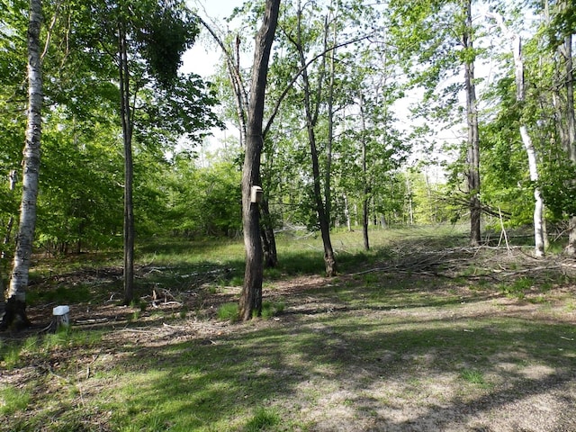 7153 Sugar Hill Cir, Gaylord, MI 49735 - view of undeveloped land
