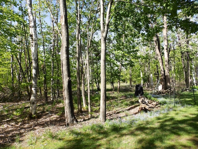 7153 Sugar Hill Cir, Gaylord, MI 49735 - view of yard