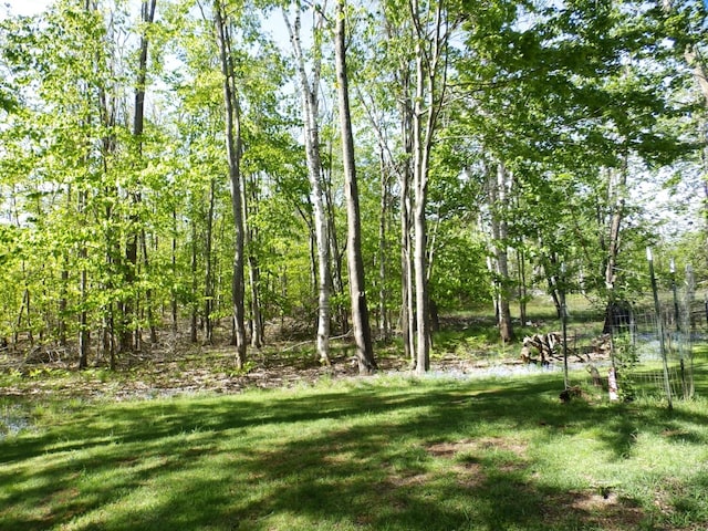 7153 Sugar Hill Cir, Gaylord, MI 49735 - view of green lawn
