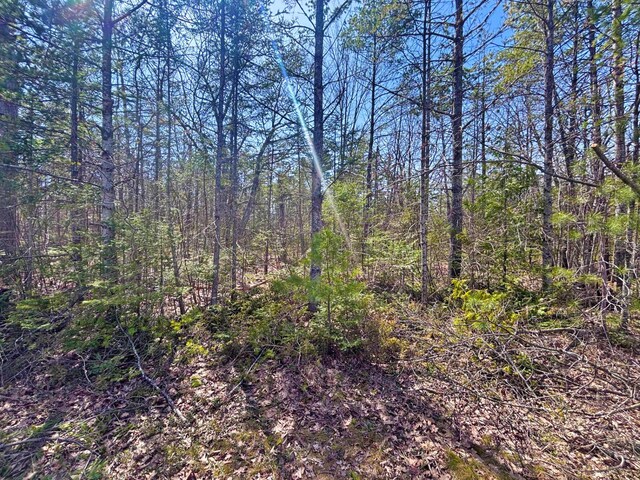 LOT375 Kauffman Rd, Presque Isle, MI 49777 - photo 1
