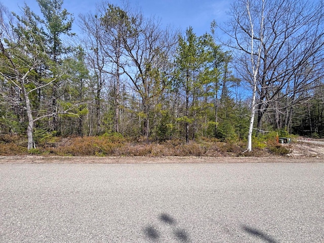 LOT375 Kauffman Rd, Presque Isle, MI 49777 - photo 3