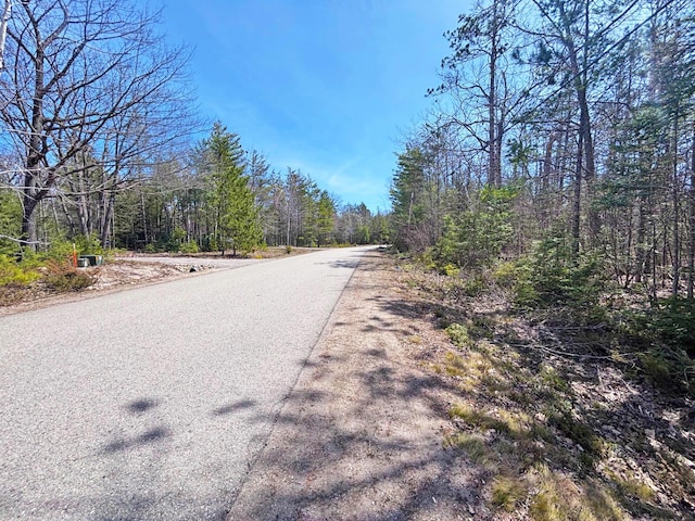 LOT375 Kauffman Rd, Presque Isle, MI 49777 - photo 4