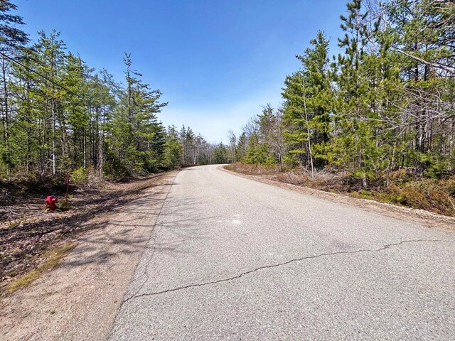 LOT375 Kauffman Rd, Presque Isle, MI 49777 - photo 5