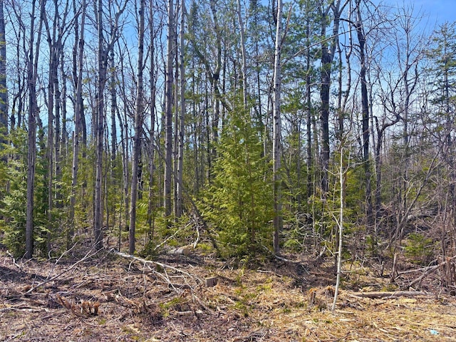 LOT312 Pineview Dr, Presque Isle, MI 49777 - photo 1