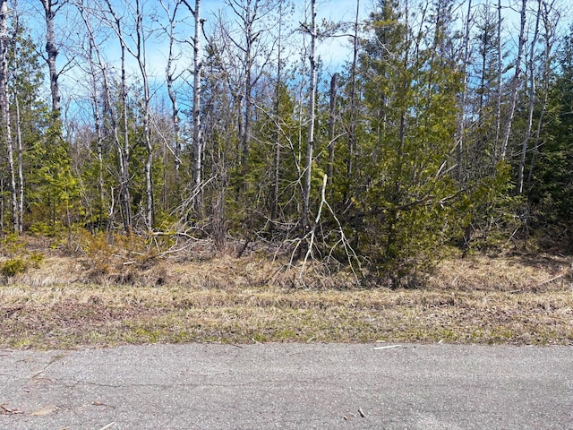 LOT312 Pineview Dr, Presque Isle, MI 49777 - photo 3