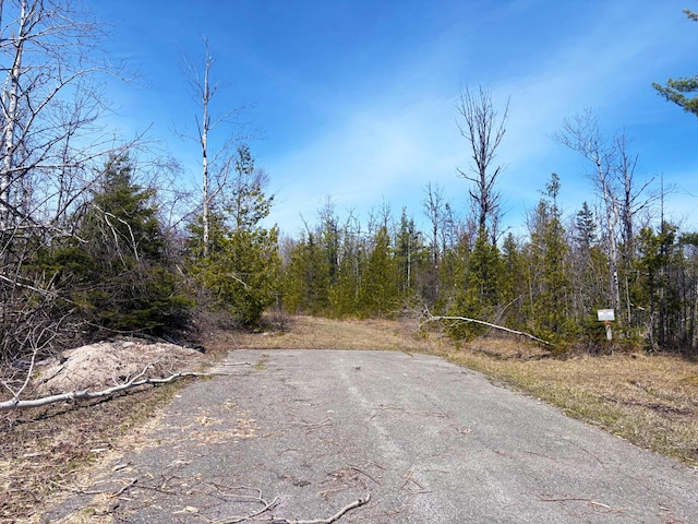 LOT312 Pineview Dr, Presque Isle, MI 49777 - photo 4